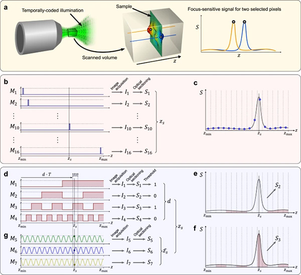 Fast topographic optical imaging using encoded search focal scan