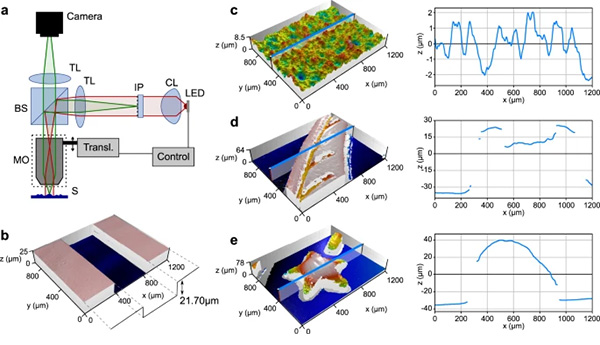 Fast topographic optical imaging using encoded search focal scan