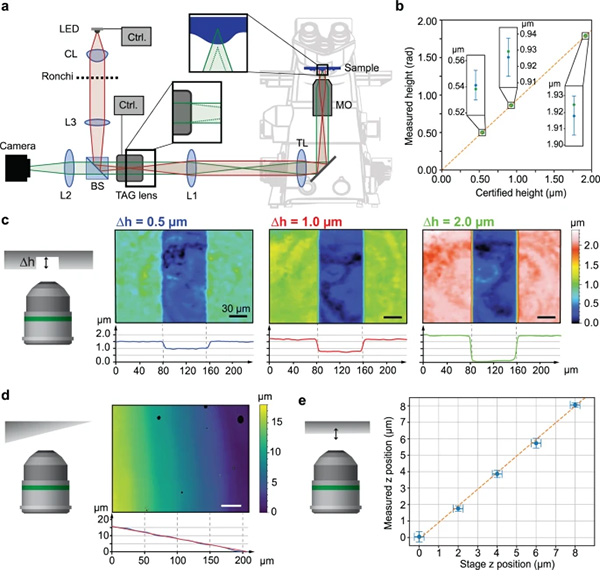 Fast topographic optical imaging using encoded search focal scan