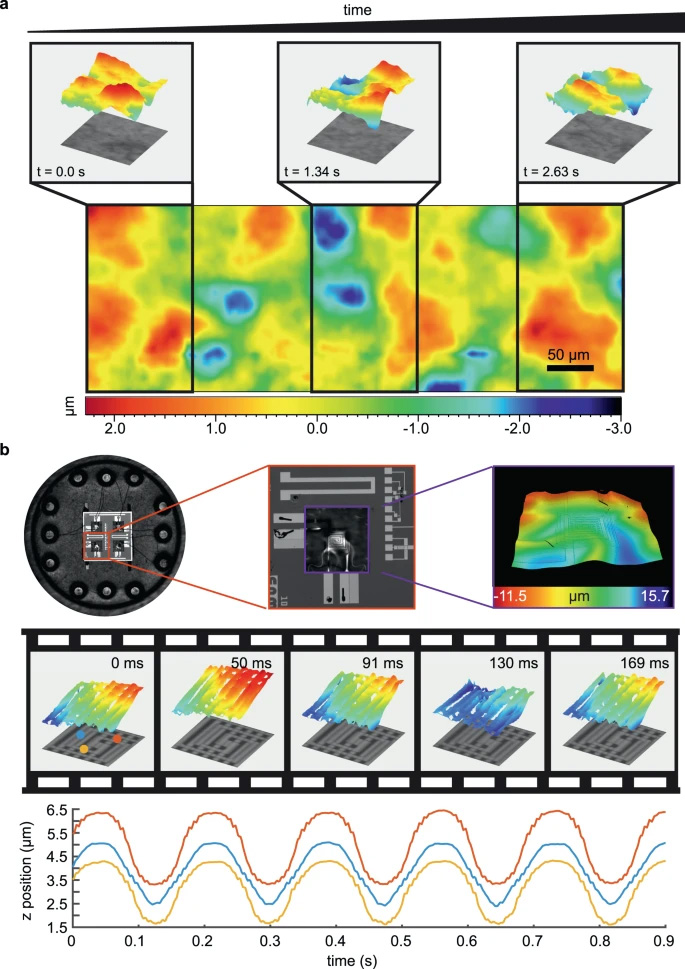 Fast topographic optical imaging using encoded search focal scan