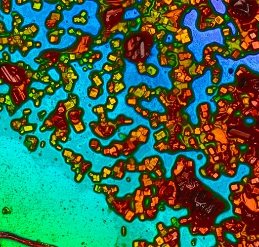 The effect of salt deposition on the performance of floating PVs