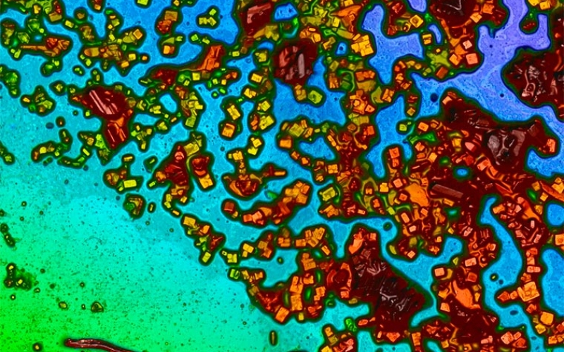 The effect of salt deposition on the performance of floating PVs