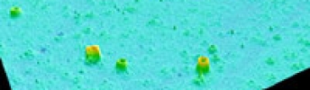 BLOBS